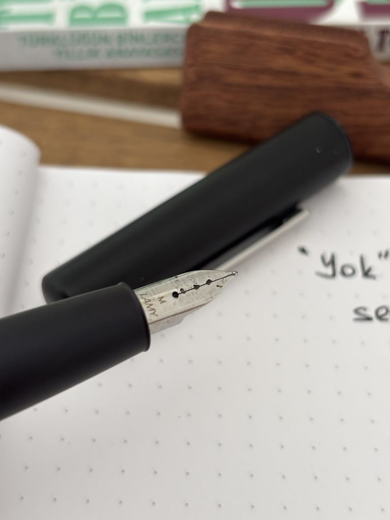 Lamy Aion M uç çelik nib yakın çekim yazım detayı